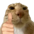 Emoji CatGoodJob