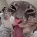 Emoji cathappy