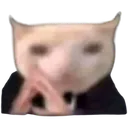 Emoji thinking_cat