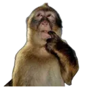 Emoji khemem