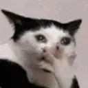 Emoji emoji_28