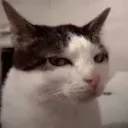 Emoji emoji_29