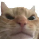 Emoji p_angrycat