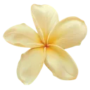 Emoji Fleur_jaune