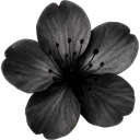 Emoji Fleur_noire