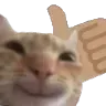 Emoji CatEmoji2