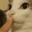 Emoji shh