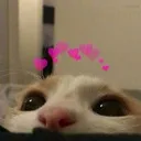 Emoji love