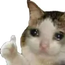 Emoji ok