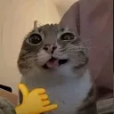 Emoji hehe