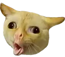 Emoji kittycough