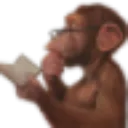 Emoji Monkey_Reading