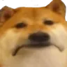Emoji doge_sad