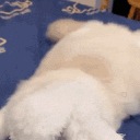 Emoji 797336catbunnyears