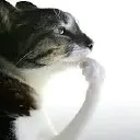Emoji pondering