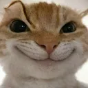 Emoji Catsourcil