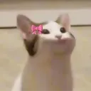 Emoji Kitty