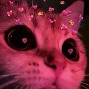 Emoji lovecat