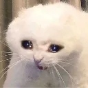 Emoji noooooooocat