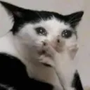 Emoji omgcat