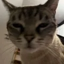Emoji gn