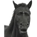 Emoji HorseEugh