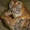 Emoji tigerstaring