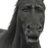 Emoji 710001horseeugh