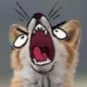 Emoji argggfox
