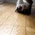 Emoji catslide