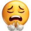 Emoji PFFF