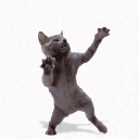 Emoji HappyCat