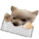 Emoji Mine_Gatinteclado