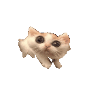 Emoji Mine_GatinAssustado