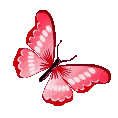 Emoji Red_Butterfly