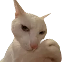 Emoji emoji_27