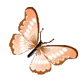 Emoji Orange_Butterfly