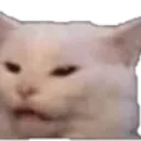 Emoji Cat_Beurk