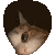 Emoji Cats_HelloFriend