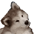 Emoji Dog_Confused