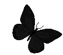 Emoji Black_Butterfly