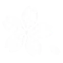 Emoji White_Flower_shinkuown