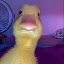 Emoji duck