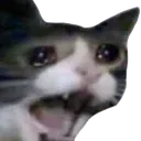 Emoji catscream