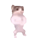 Emoji cat_fistbump