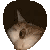 Emoji cat_lurk_hole