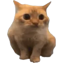 Emoji cat_sceptic