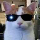 Emoji catchatsunglasses
