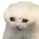 Emoji POURQUOI