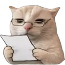 Emoji 226280catnoted